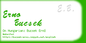 erno bucsek business card