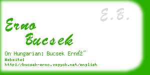 erno bucsek business card